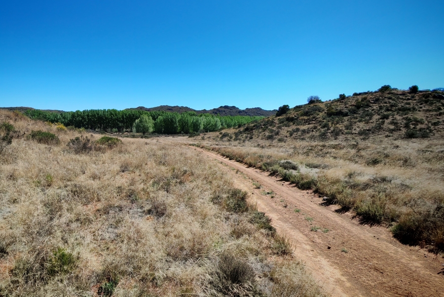4 Bedroom Property for Sale in Middelburg Rural Eastern Cape